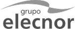 Grup Elecnor